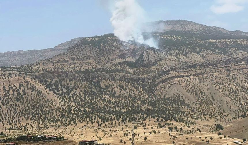 Hakkari’de orman yangını