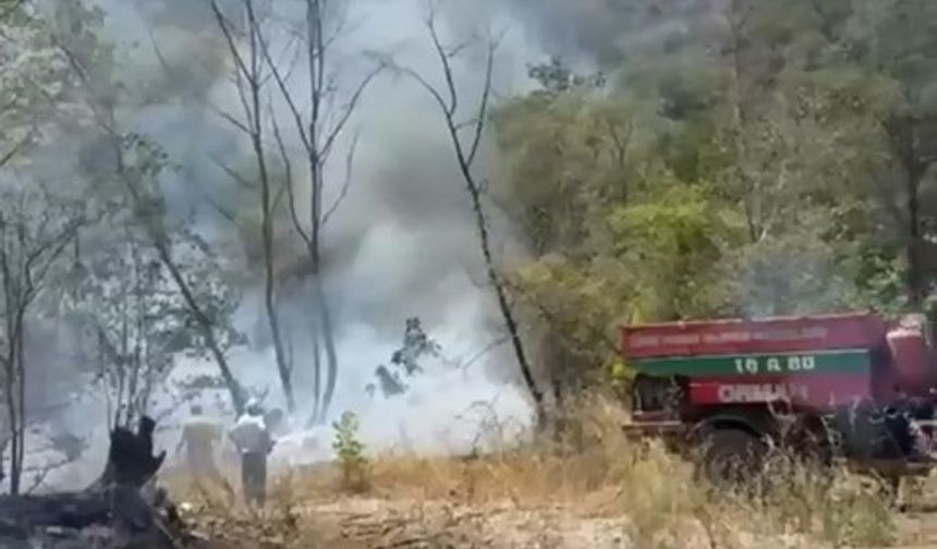 İznik’te orman yangını