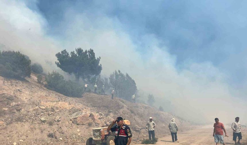 Manisa’daki orman yangını kontrol altına alındı