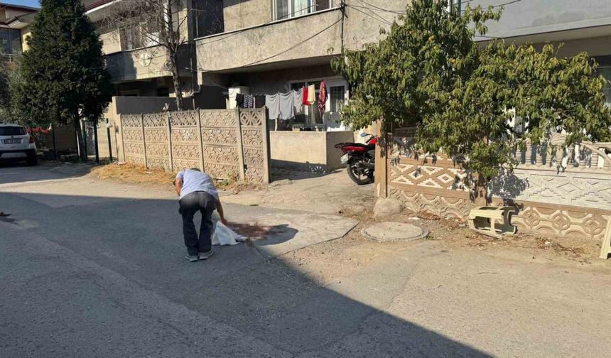 Tartıştığı babasını pompalı tüfekle vurarak öldürmüştü, tutuklandı