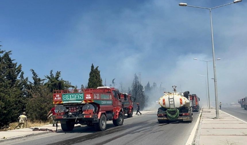 Bu kez Buca'da orman yangını çıktı! Rüzgarın etkisiyle büyüyor