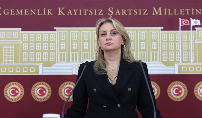 CHP İzmir Milletvekili Ösen: Elektrik alt yapı ve bakımları koşullara uygun mu?