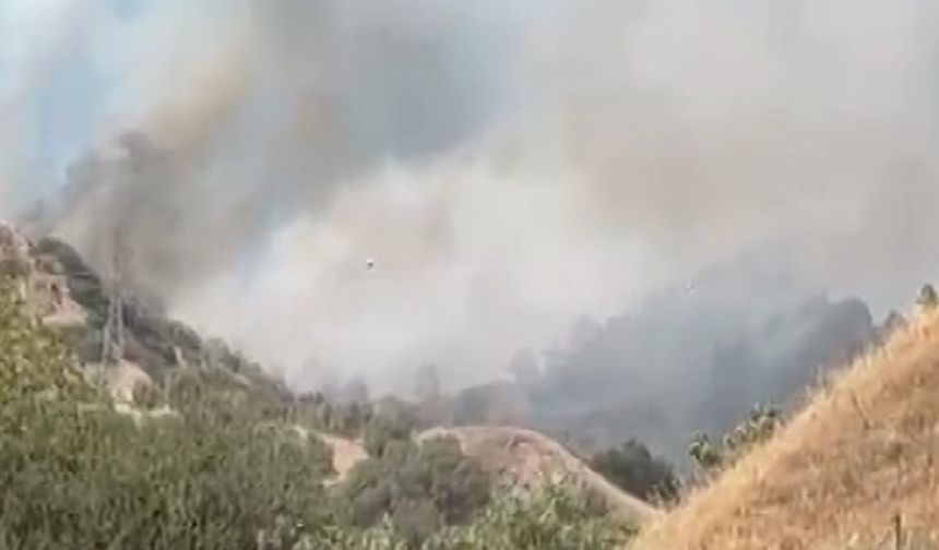 Efeler’de zirai alan yangını: Havadan ve karadan müdahale!