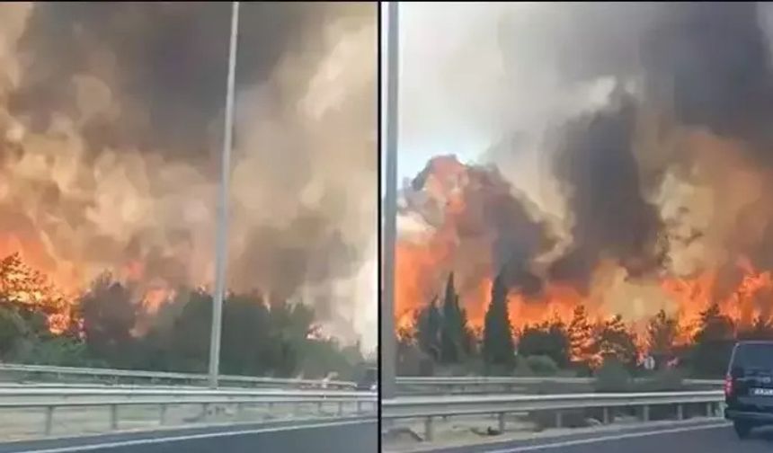 İzmir Buca'da orman yangını çıktı!