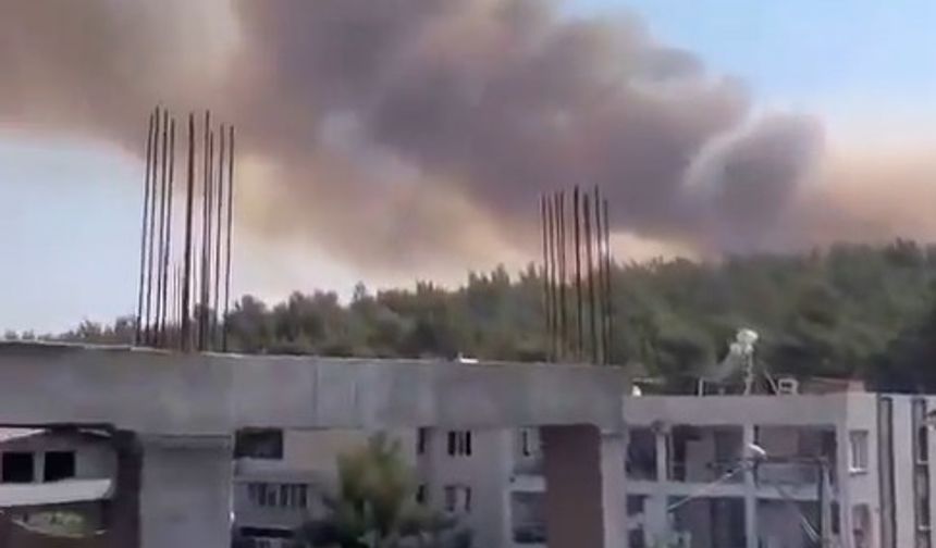 İzmir Gaziemir'de orman yangını başladı!