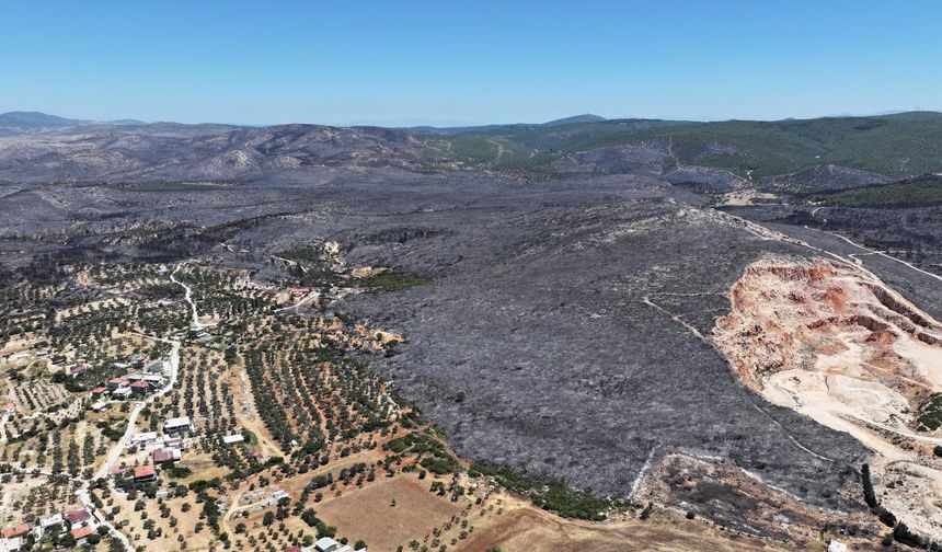 İZPA İzmir’in orman yangını risk haritasını oluşturdu