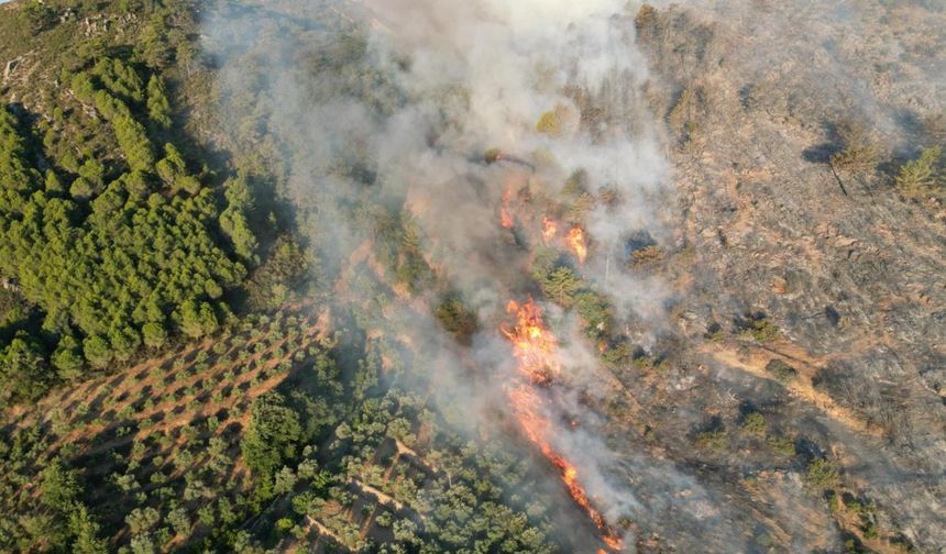 Karabük ve Antalya'da orman yangını