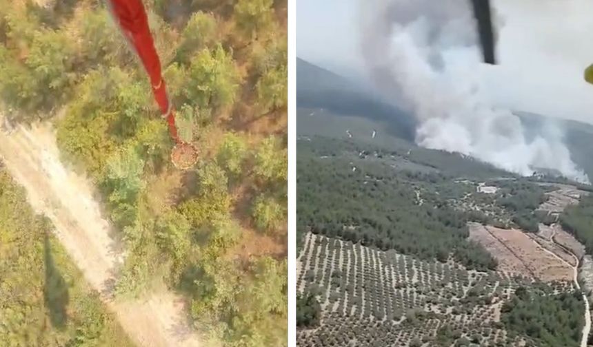 Manisa Saruhanlı'da orman yangını: Havadan ve karadan müdahale ediliyor