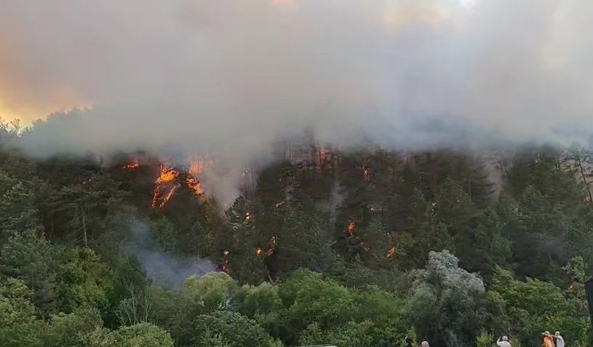Bolu’daki orman yangını yayılıyor: 7 helikopterle havadan destek