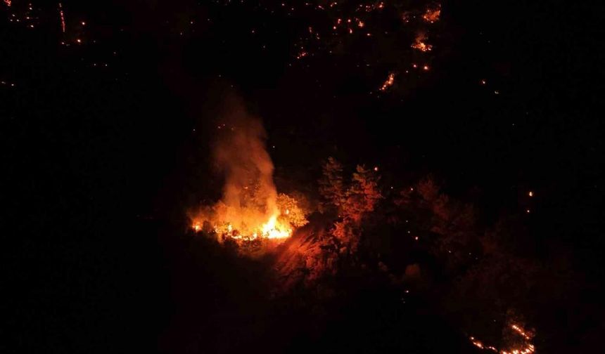 Çanakkale’de orman yangını kontrol altına alındı