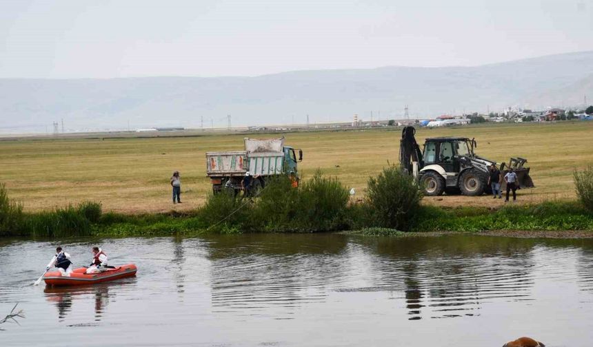 Kura nehrine düşerek boğulan inek can verdi