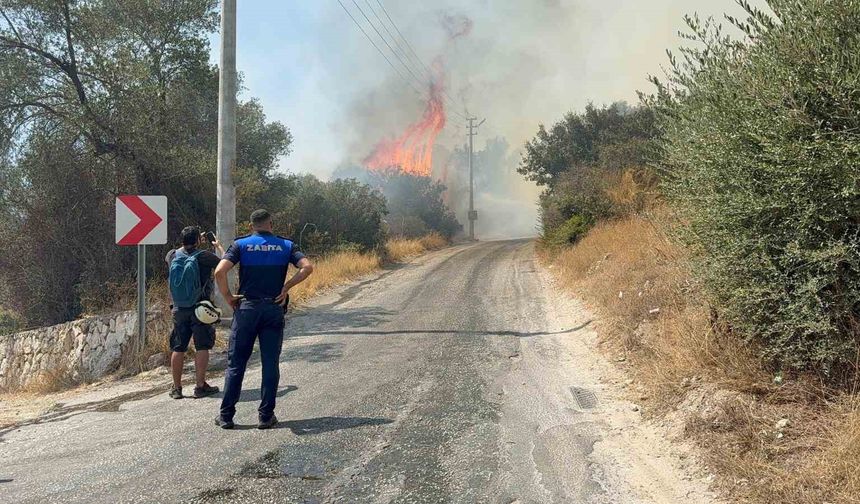 Bodrum Yakaköy’de makilik alanda yangın