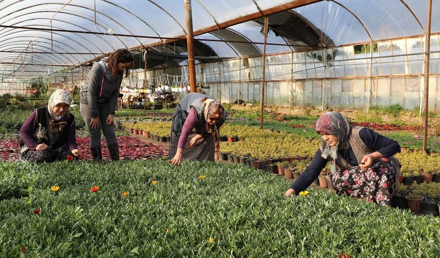 Muğla'da kadın emeğiyle yerel kalkınma güçleniyor