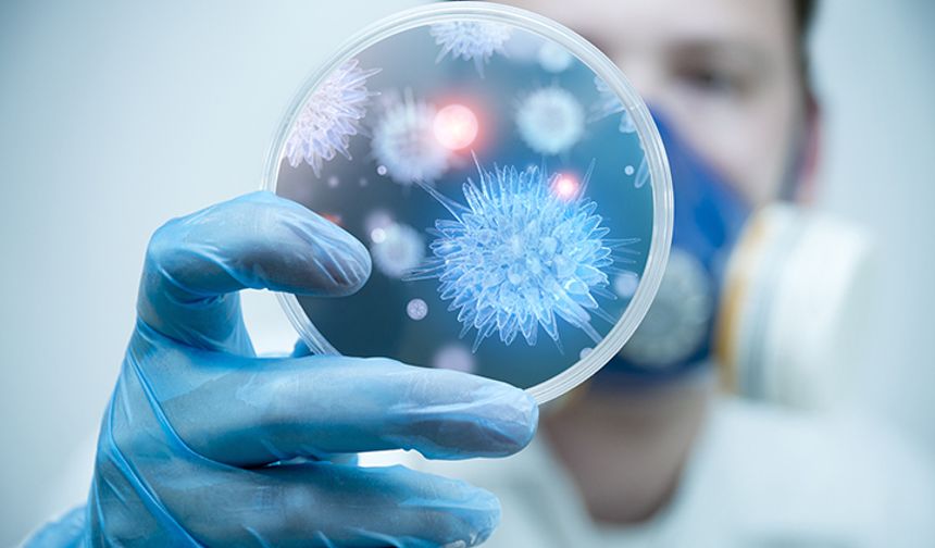 DSÖ’den Nipah Virüsü için acil araştırma çağrısı