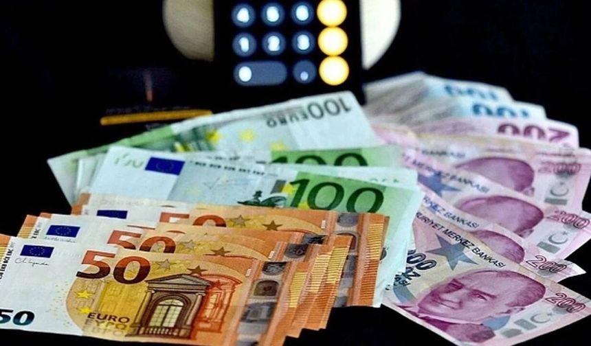 Döviz kurlarında hareketlilik sürüyor