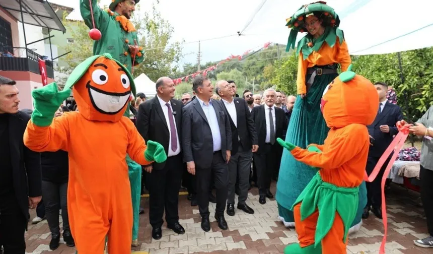 Menderes'te mandalina festivali başlıyor