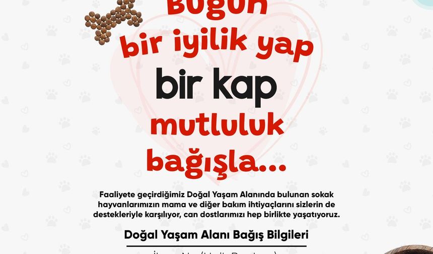 Turgutlu Belediyesinden sahipsiz dostlar için anlamlı kampanya