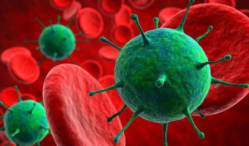 H3N2 grip virüsü Türkiye’ye geliyor