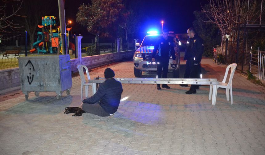 Kedisi ezilen mahalle sakini yolu kapattı