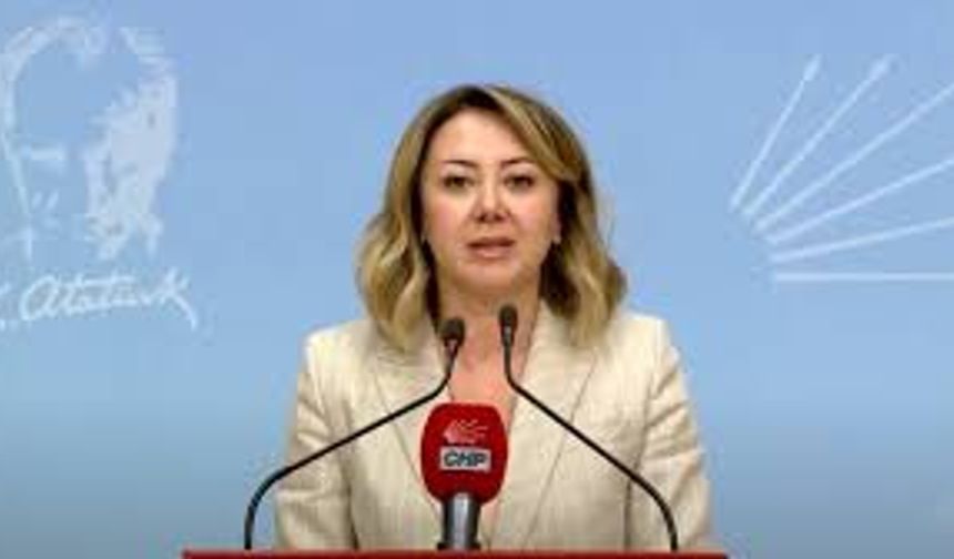 Gül Çiftçi: Silivri’deki yol arkadaşlarımız haksız yere tutuluyor