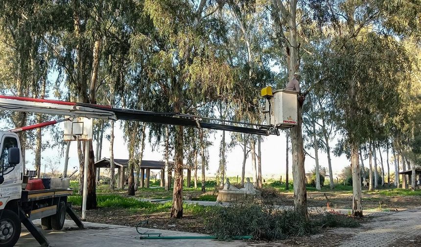 Efeler'de güvenli yeşil alan seferberliği