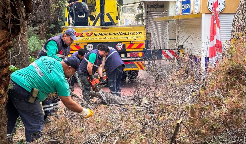 Efeler Belediyesi'nin ekipleri çalışıyor