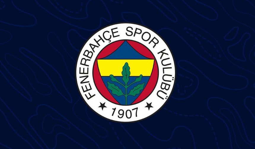 Fenerbahçe milyonlarca liralık zararı açıkladı