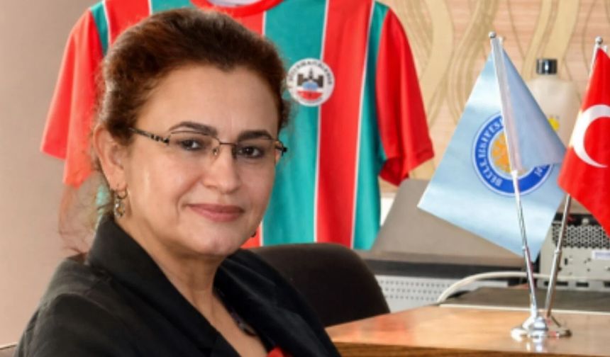 Sınırdan gelen yorgun mermi profesörü yaraladı