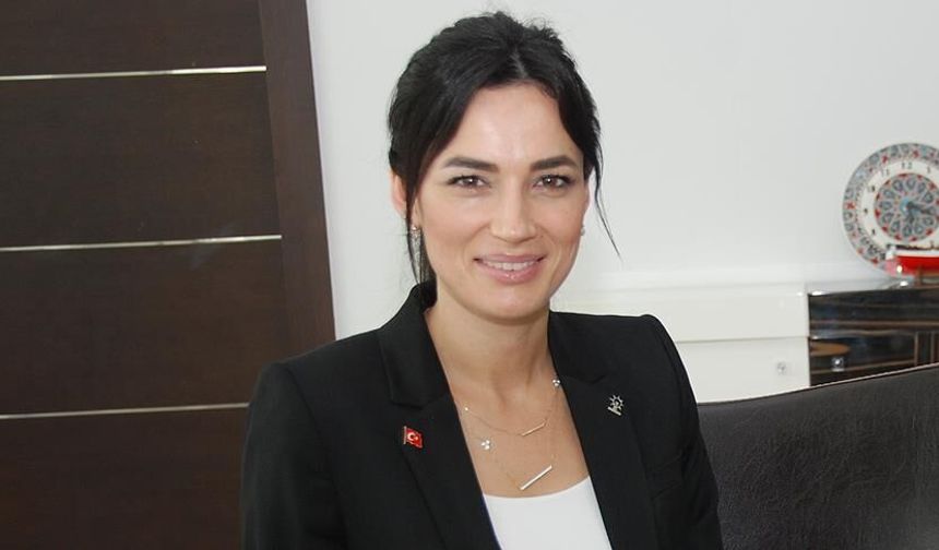 AKP’li vekil Sarıbaş’ın oğlu hakkında silah iddiası