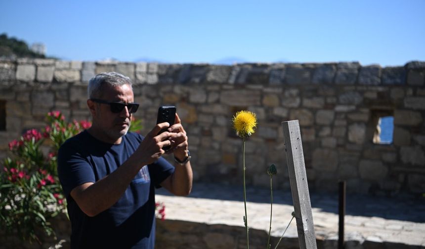 Güvercinada Açık Hava Müzesi çiçek açtı