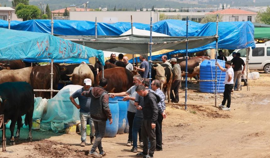 'Sürekli ithalat besiciyi bitirdi'