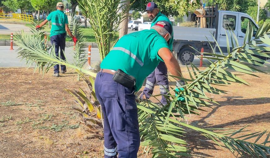 Efeler'de yeşil alanların bakımı aralıksız sürüyor