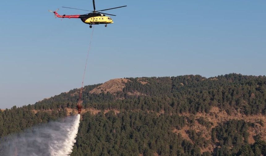 Aydın Kuyucak'ta yangın... Müdahale devam ediyor