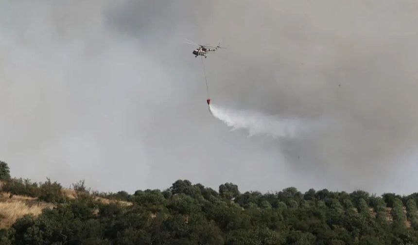 Gömeç'teki orman yangını 4. gününde