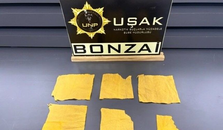 Uşak’ta uyuştur*cu operasyonunda 14 şüpheli tutuklandı