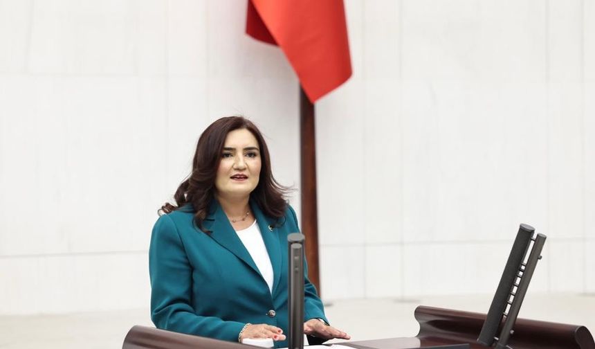 CHP İzmir Milletvekili Sevda Erdan Kılıç: Komedi filmine bile sansür