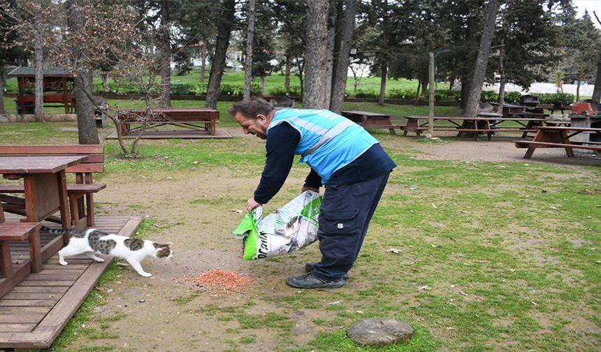 Balıkesir Büyükşehir Belediyesi her koşulda can dostların yanında