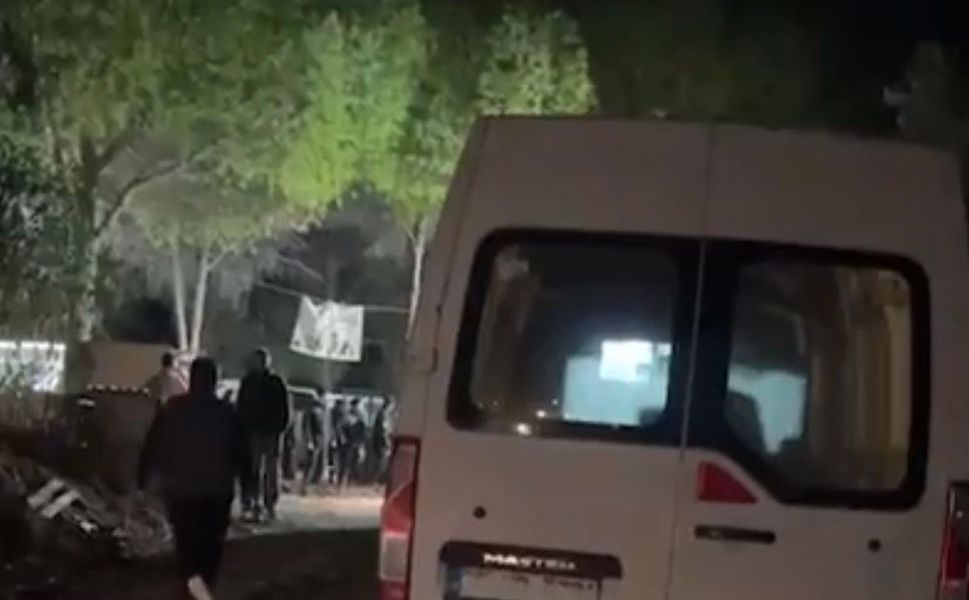 Gece vakti operasyon… Yaklaşık 200 köpek toplatıldı!