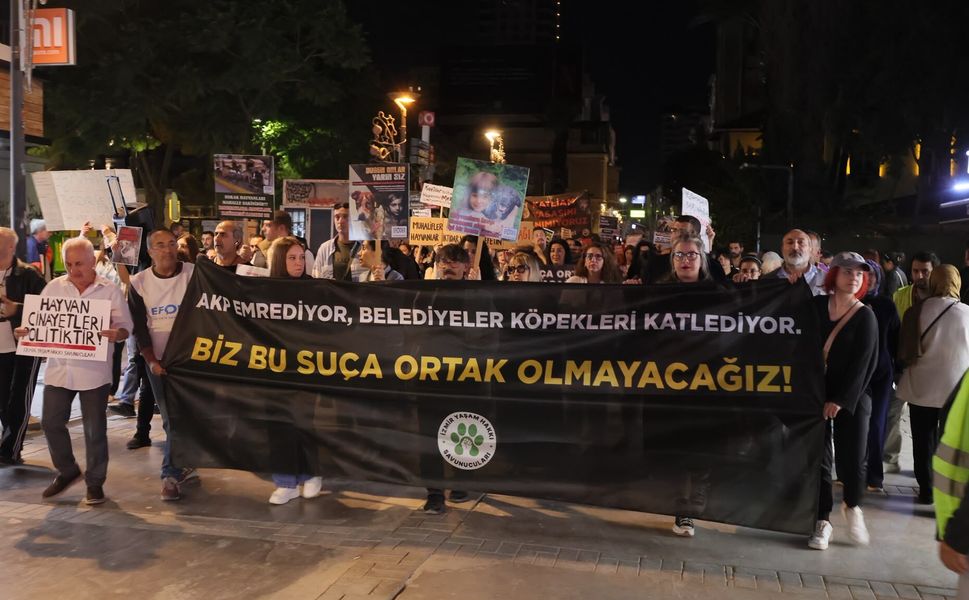 “İktidarın ortağı olup bizi tek bıraktınız”