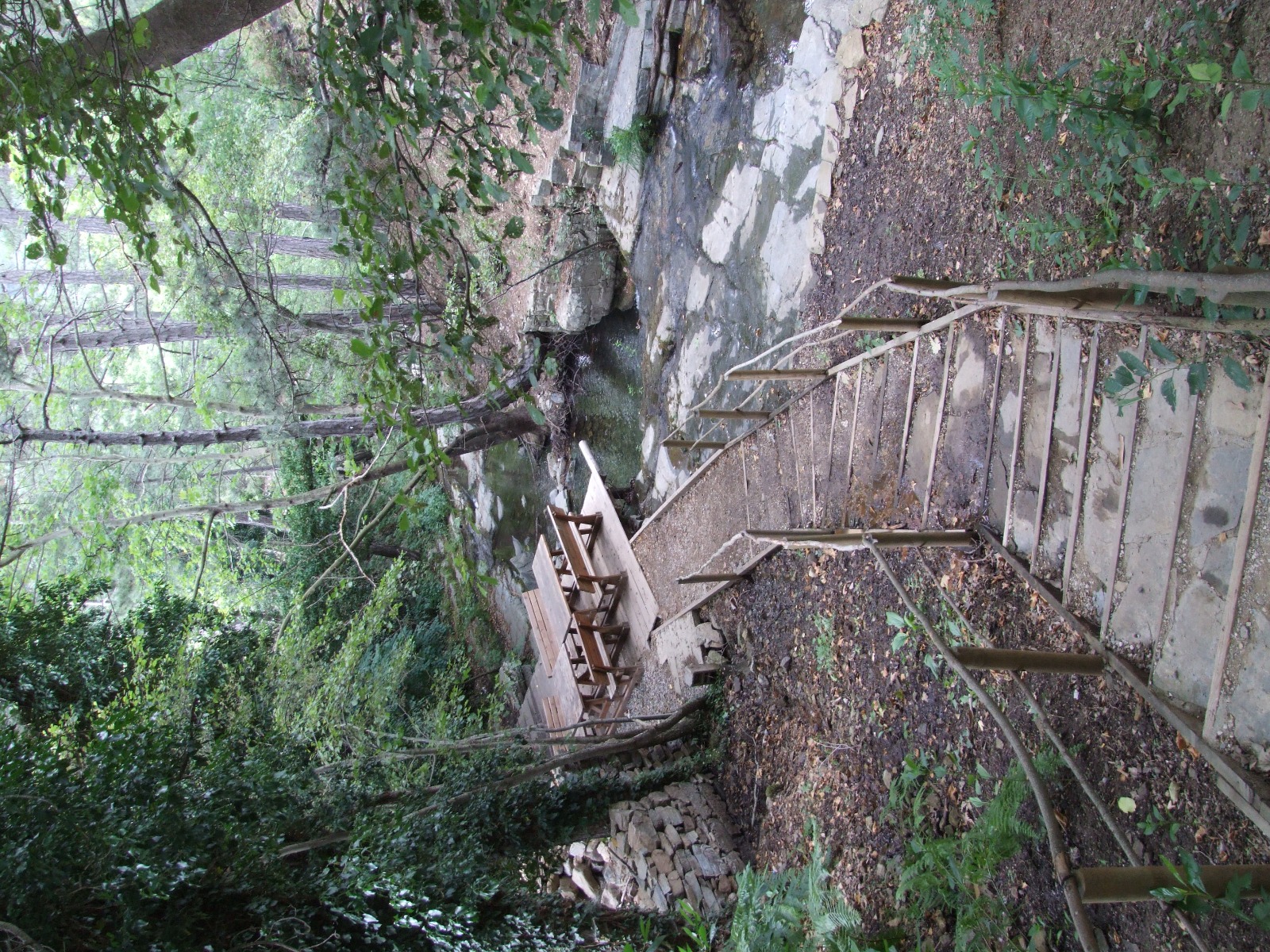 Darı3