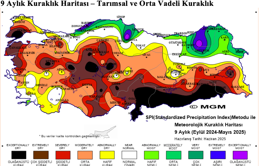 Ekran Resmi 2025 06 22 14.41.02