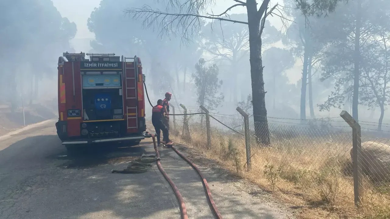 Bergama’da Anız Yangını Ormana Sıçradı Müdahale Sürüyor (1)