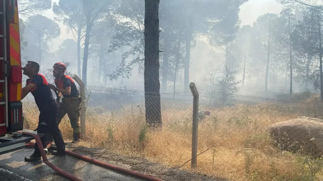 Bergama’da Anız Yangını Ormana Sıçradı Müdahale Sürüyor (2)