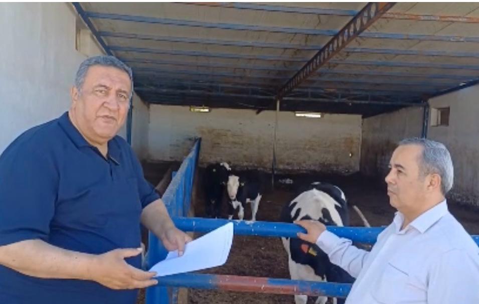 Et Krizi Ithalatla Besleniyor! Chp'li Gürer Et Ve Süt Sorunu Da Bu Kafayla Bitmez (1)