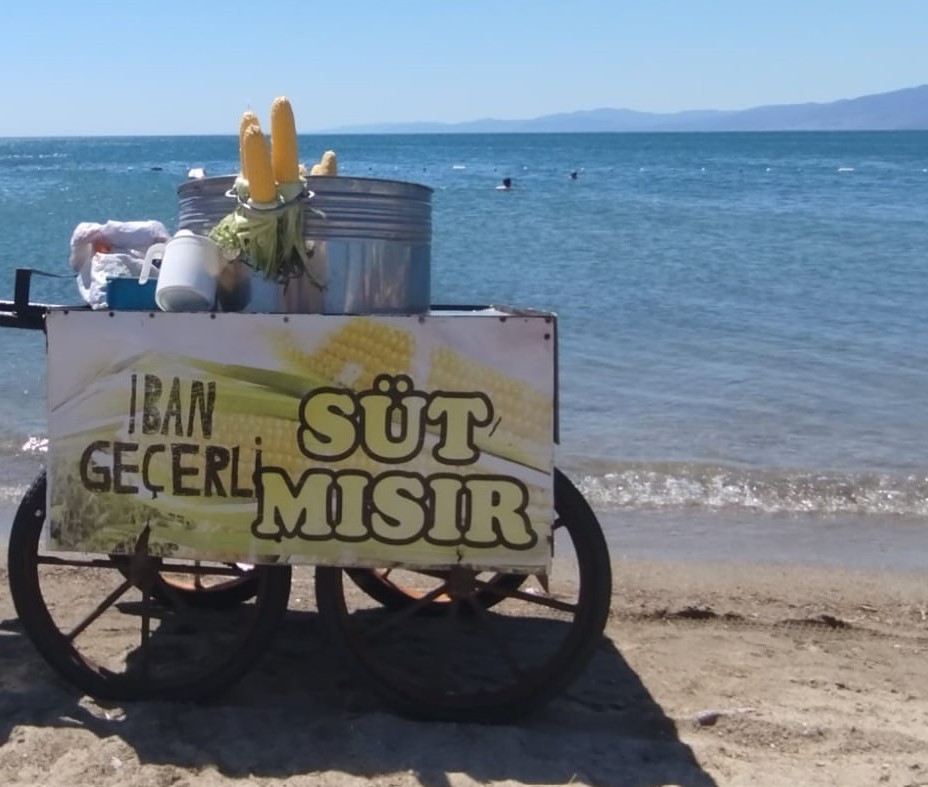 Ibansüt