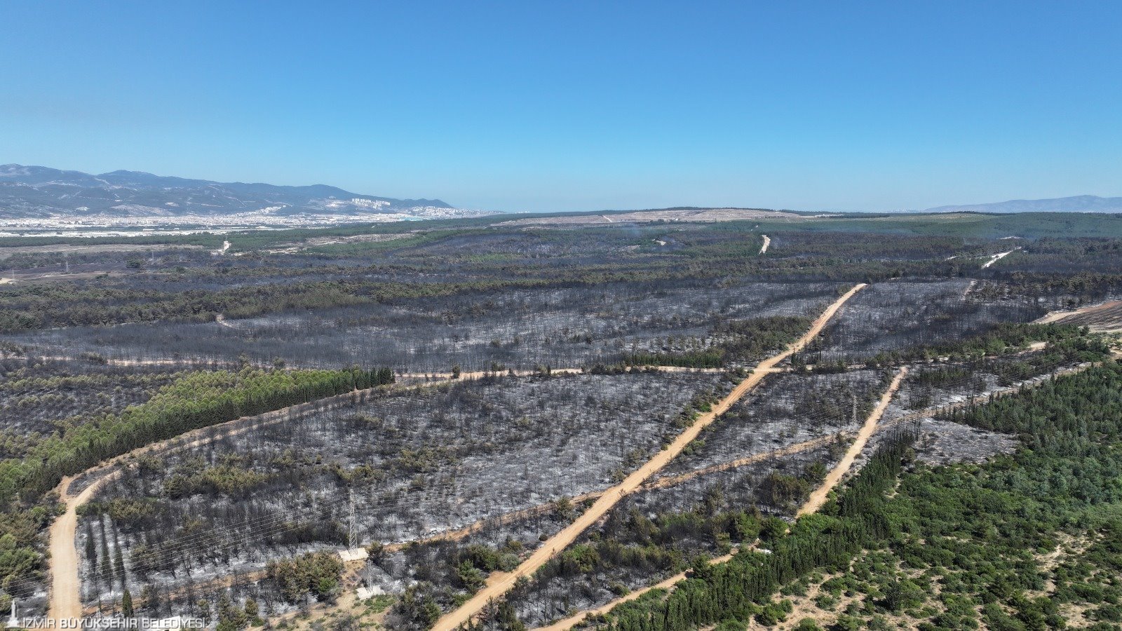 İzmir'de Orman Yangınları Sonrası İekkk Olağanüstü Toplandı8