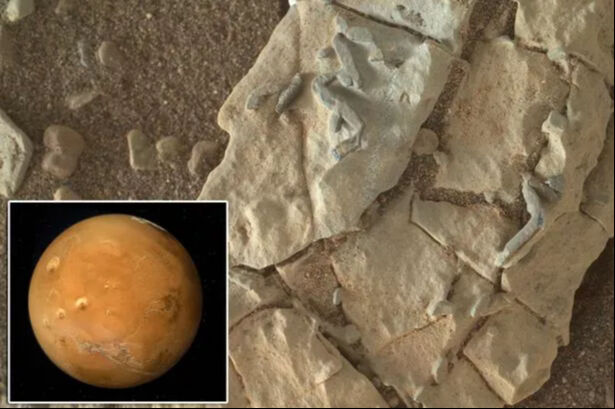 Mars’tan Gelen Numuneler Yeni Pandemiye Neden Olabilir-1