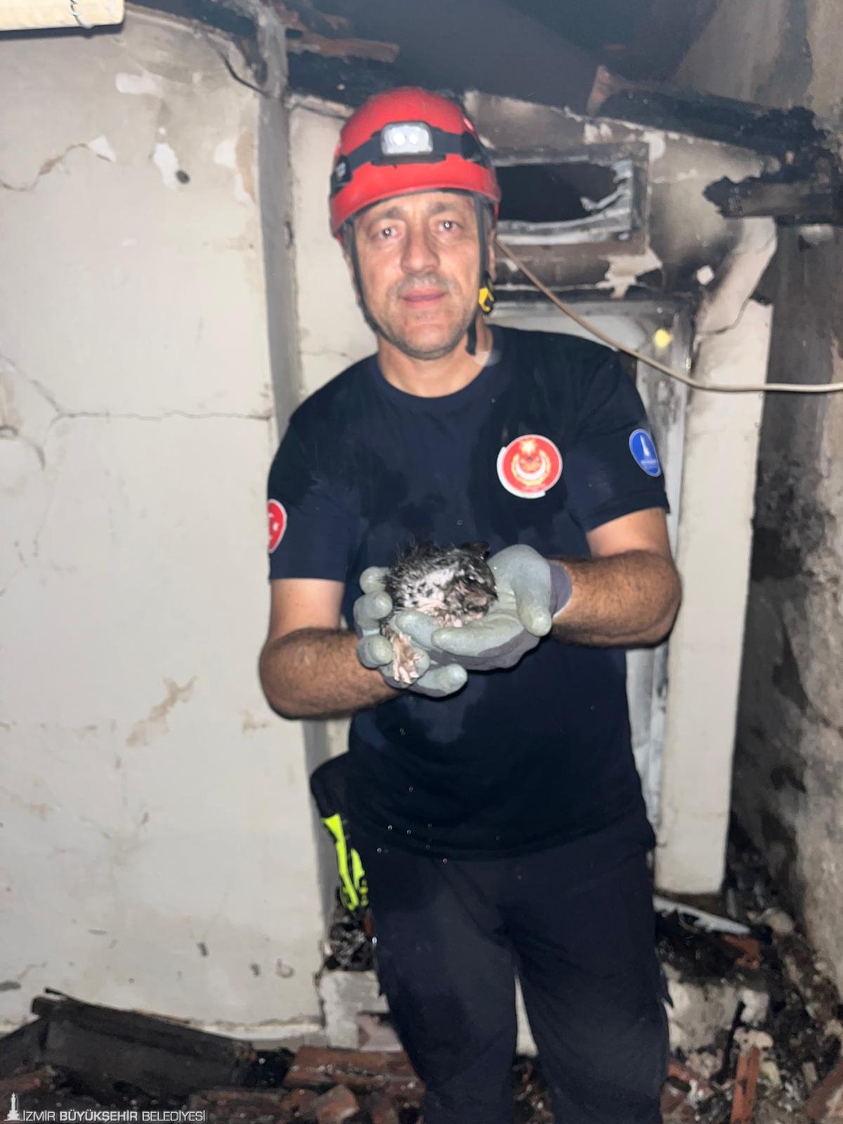 Yangından Kurtarılan Can Dostlar Emin Ellerde4