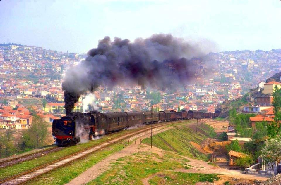 Buharli 02