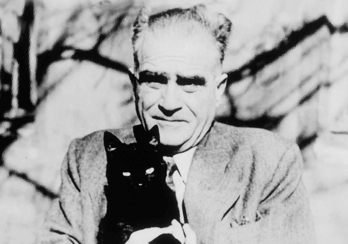 Ahmet Hamdi